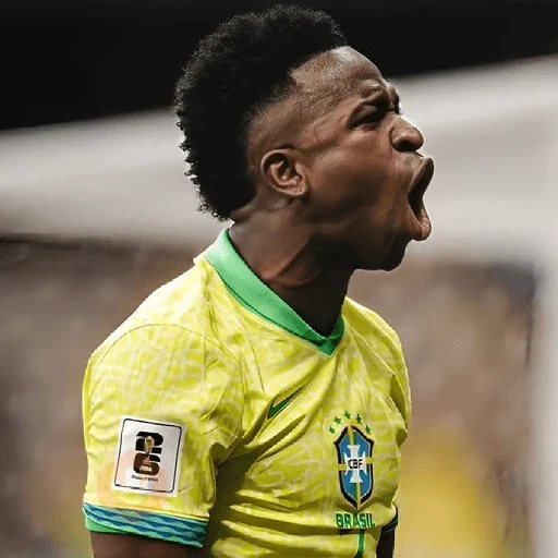 Vinícius Júnior | Brasil 🇧🇷 sticker 12