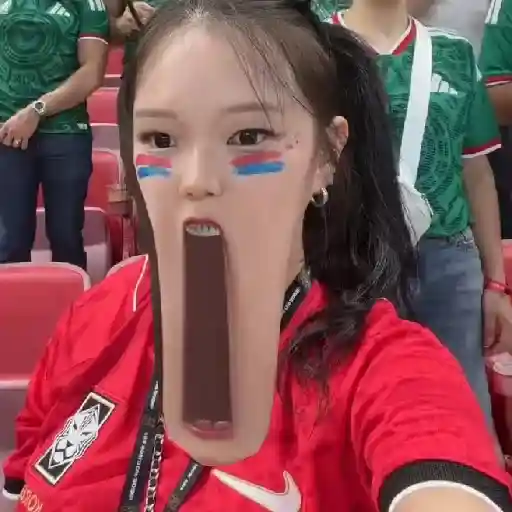México vs Corea del sur sticker 14