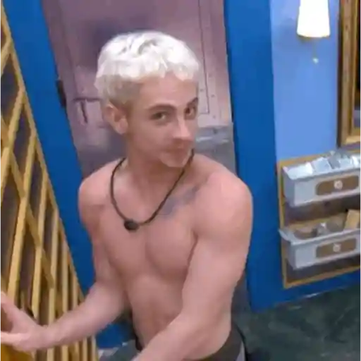 Big Brother Brasil. sticker 25