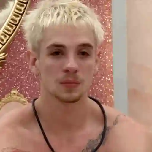Big Brother Brasil. sticker 17