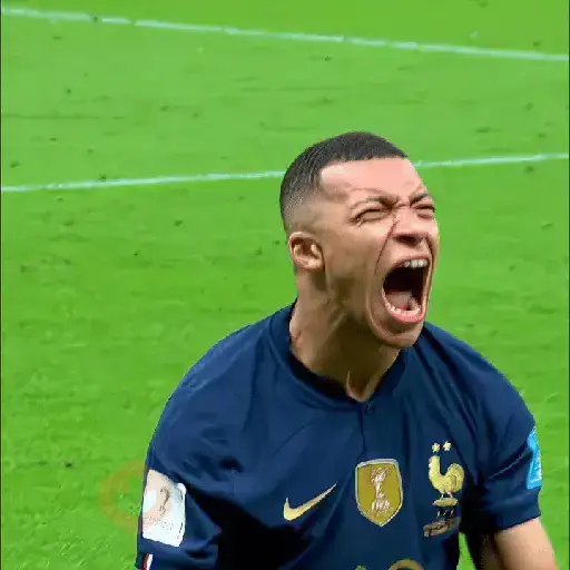 Mbappe × França 🇫🇷 sticker 12