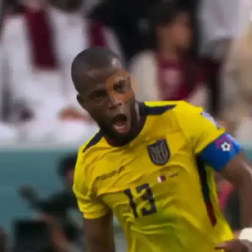 Ecuador ⚽️ sticker 13