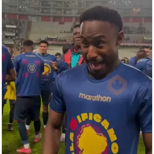 Ecuador ⚽️ sticker 17