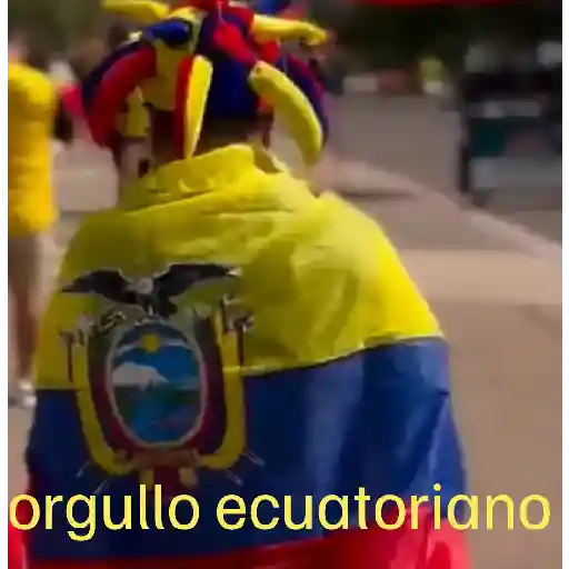 Ecuador ⚽️ sticker 16