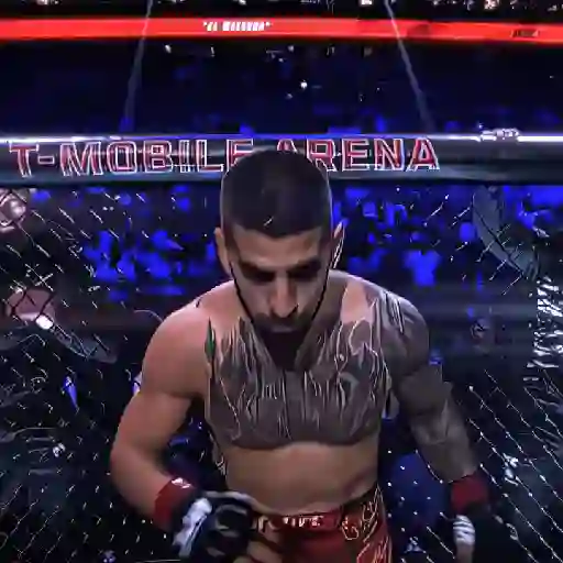 Ufc × Topuria sticker 15