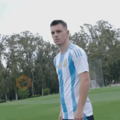 Argentina Lo Celso ✨⚽️🇦🇷 sticker 19