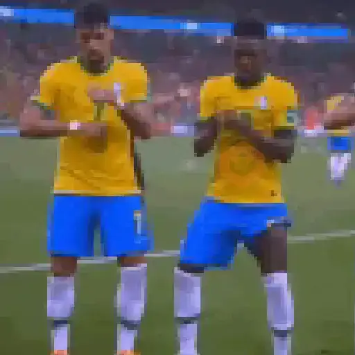 DANCINHA DO BRASIL 🇧🇷 sticker 11
