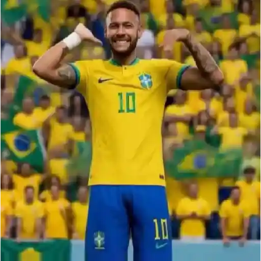 DANCINHA DO BRASIL 🇧🇷 sticker 17