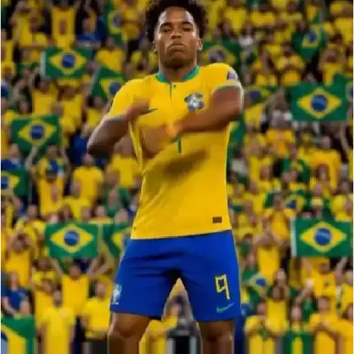 DANCINHA DO BRASIL 🇧🇷 sticker 12