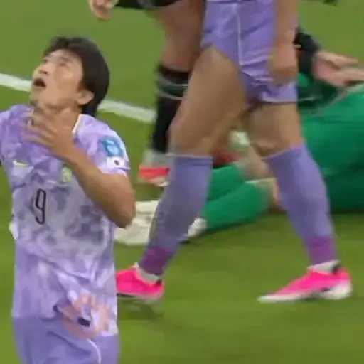 México 🇲🇽 vs 🇰🇷 Corea 🥺 sticker 12