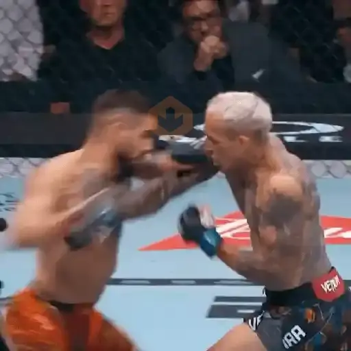TOPURIA — UFC 🥊 sticker 13