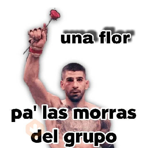Ilia Topuria 🥊💥 sticker 12