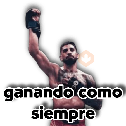 Ilia Topuria 🥊💥 sticker 11