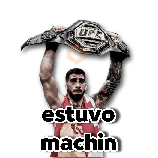 Ilia Topuria 🥊💥 sticker 13
