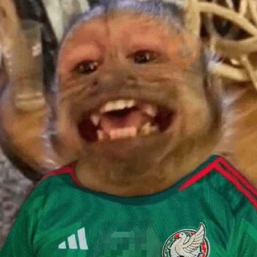 Memes México sticker 15