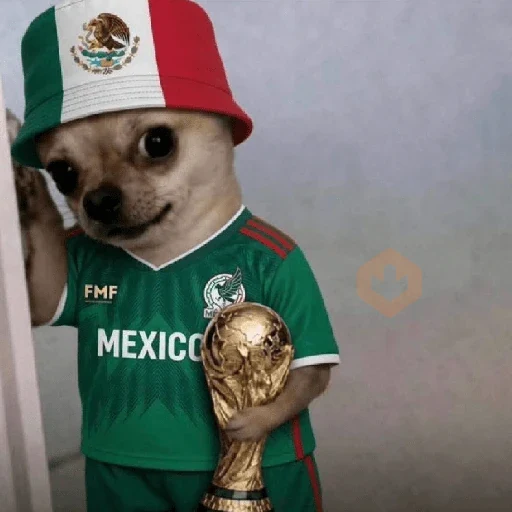 Memes México sticker 17