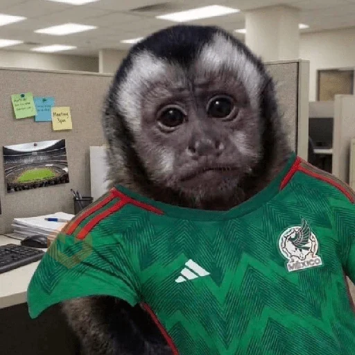 Memes México sticker 19