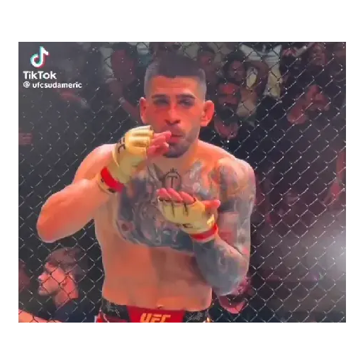 ilia topuria UFC 🥊👊 sticker 14