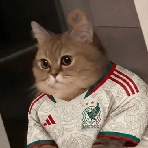 México 🇲🇽 memes y si, si?⚽🥅 sticker 23