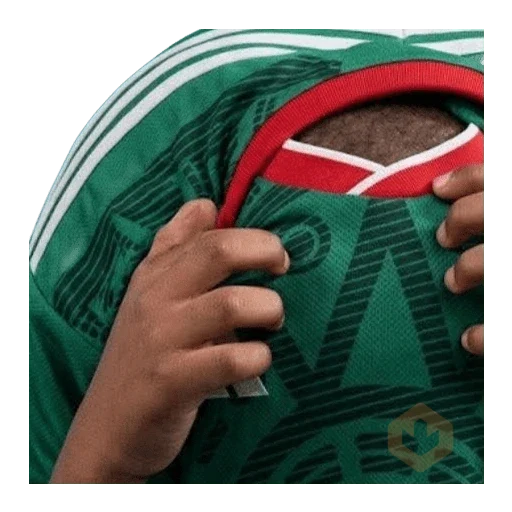 México 🇲🇽 memes y si, si?⚽🥅 sticker 21