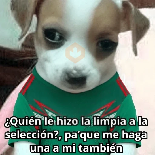 México 🇲🇽 memes y si, si?⚽🥅 sticker 13