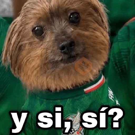 México 🇲🇽 memes y si, si?⚽🥅 sticker 14