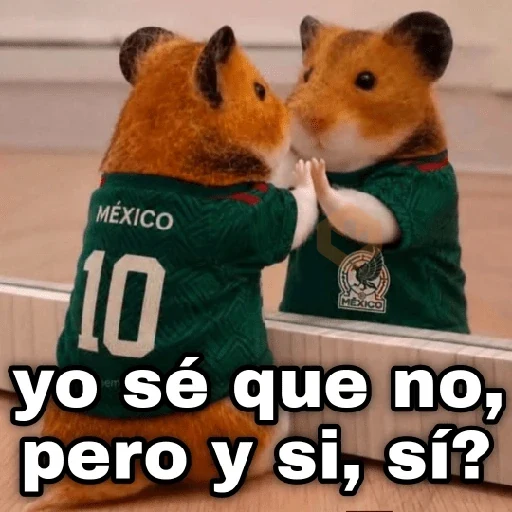 México 🇲🇽 memes y si, si?⚽🥅 sticker 11