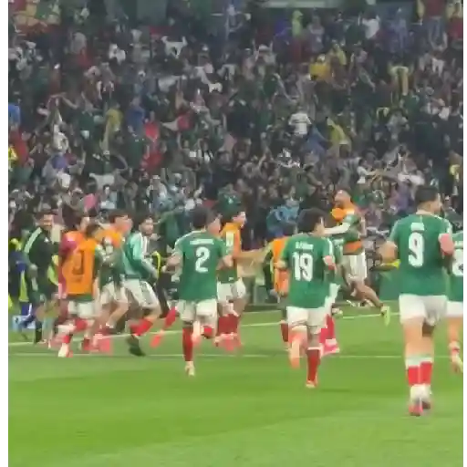 México 🇲🇽Ecuador sticker 18