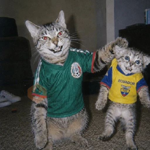 🧿 Y si si México gana! 🇲🇽♥️🎉 sticker 16