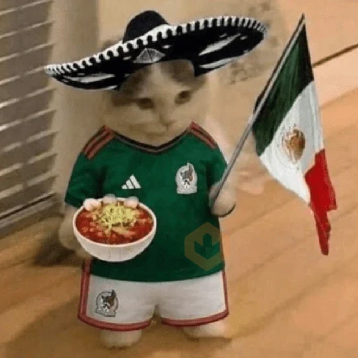 🧿 Y si si México gana! 🇲🇽♥️🎉 sticker 25