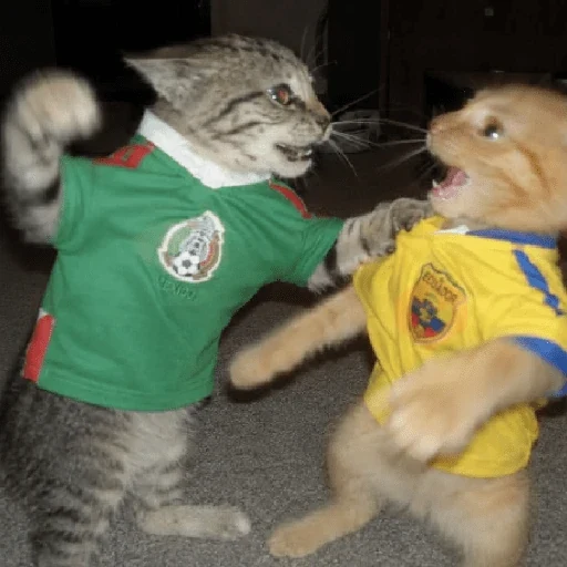 🧿 Y si si México gana! 🇲🇽♥️🎉 sticker 17