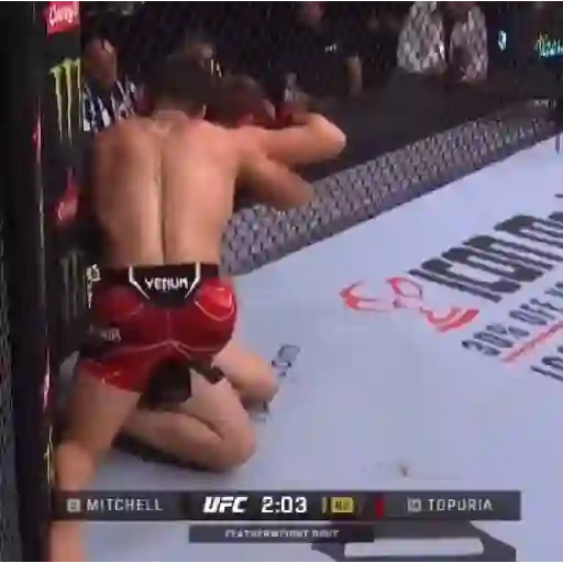 ilia topuria UFC 👑 sticker 16