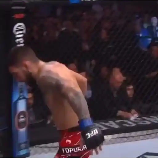 ilia topuria UFC 👑 sticker 19