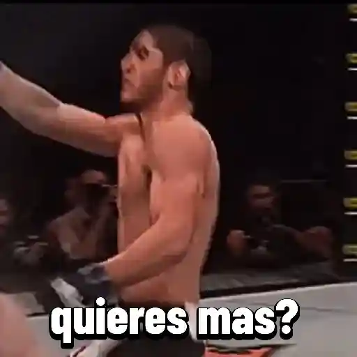 ilia topuria UFC 👑 sticker 21