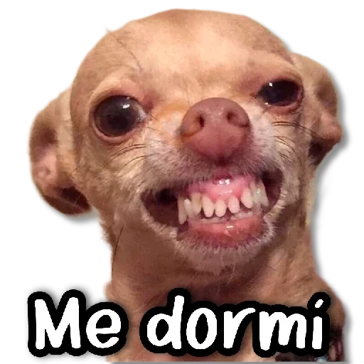 COMBO de Stickers #➋➌ 🌱 sticker 13