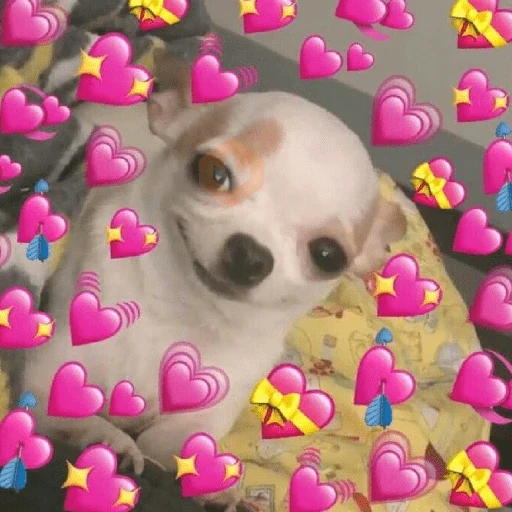 💕💖 AMOR • LOVE 💖💕 sticker 18