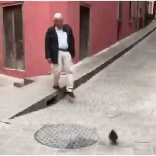AMLO Y PEÑA CHAIROS Y NINIS sticker 11