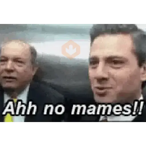 AMLO Y PEÑA CHAIROS Y NINIS sticker 13