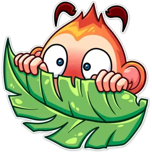 Funny Monkey 