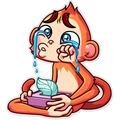 Funny Monkey 