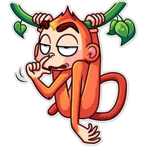 Funny Monkey 