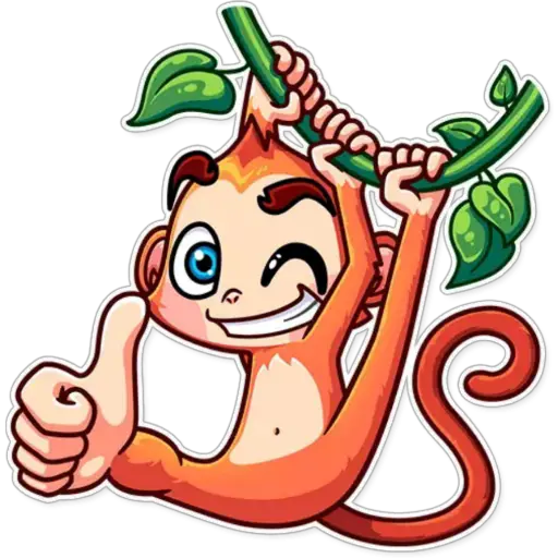 Funny Monkey 