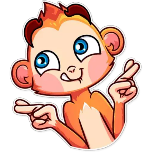 Funny Monkey 