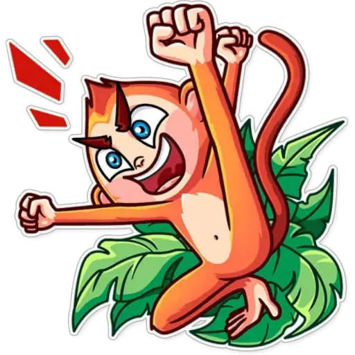 Funny Monkey 
