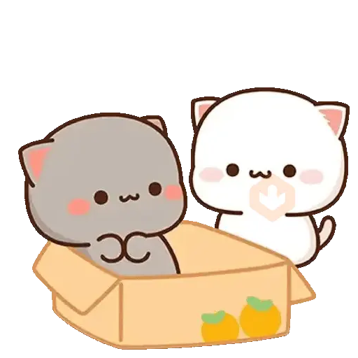 Mochi Mochi Amor✨🐾🐱 sticker 17
