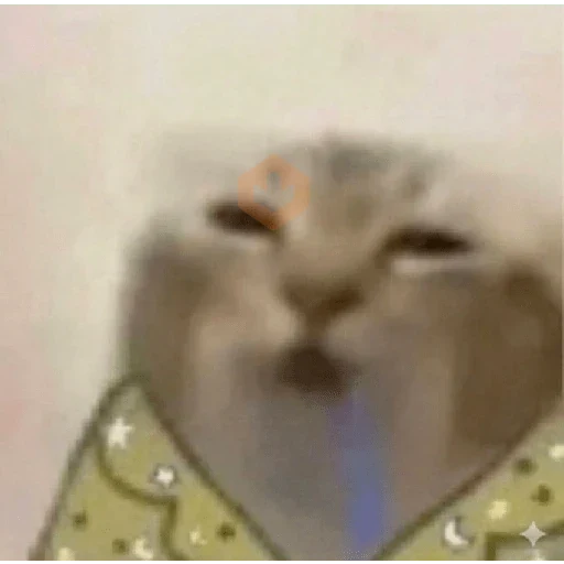 gato babando sticker 13