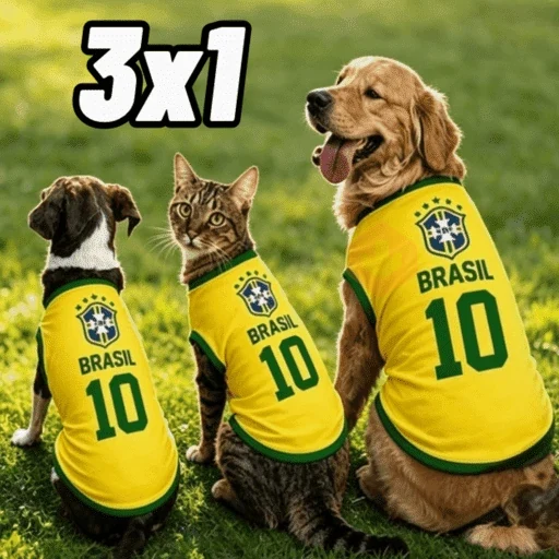Brasil copa meme sticker 11