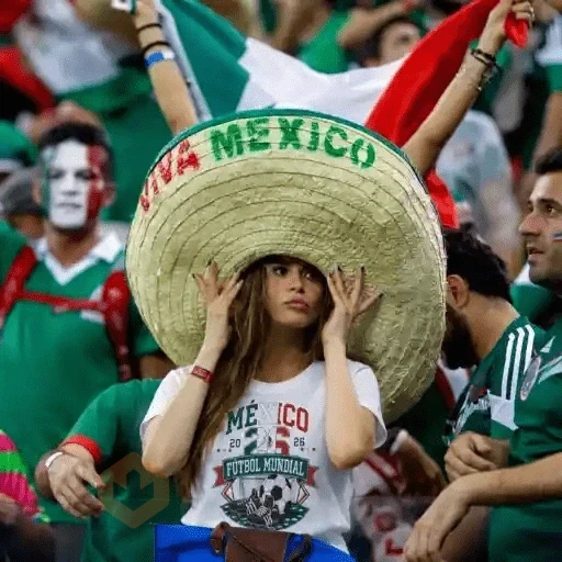Y si sí? México Memes⚽🇲🇽 sticker 12