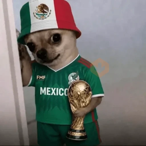 Y si sí? México Memes⚽🇲🇽 sticker 11
