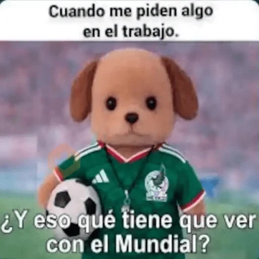 Y si sí? México Memes⚽🇲🇽 sticker 16